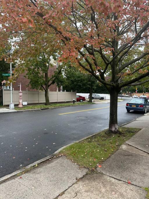 Morris Park Area Apartment New York Luaran gambar